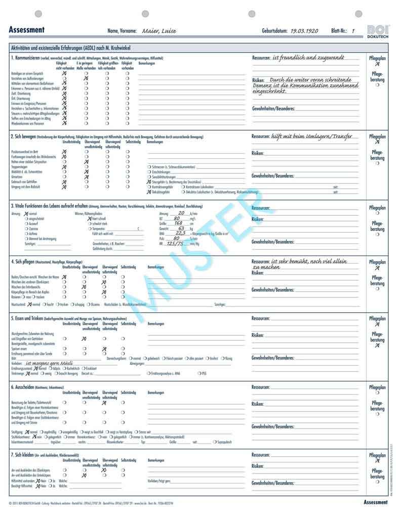 Formular "Pflegeanamnese AEDL/Assessment" - Zubehör für Dokumentationsmappen