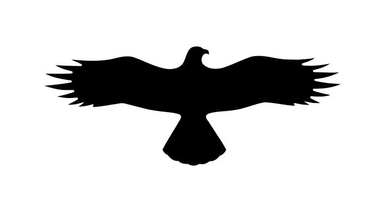 Aufkleber zum Vogelschutz - Symbol: Bussard - 2 Farben